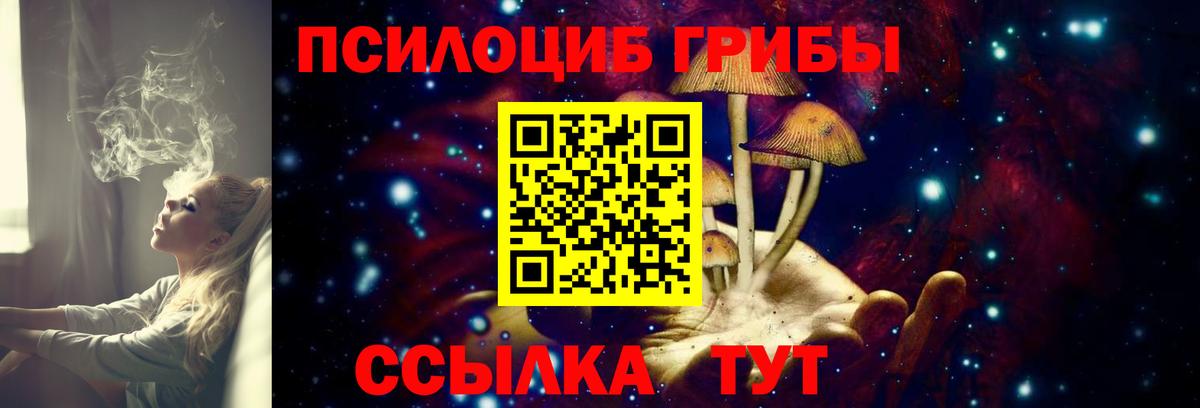 что такое   Вход с VPN  Южноуральск  Галлюциногенные грибы прущие грибы 